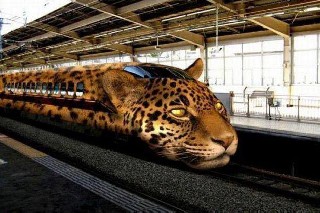 Leopard Train in China