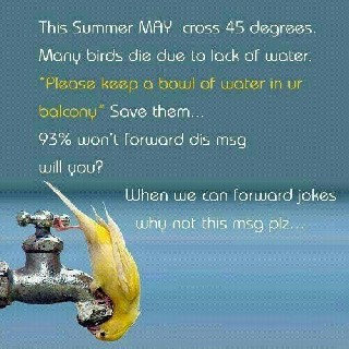 save water  8204969805