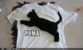 Puma New T Shirt