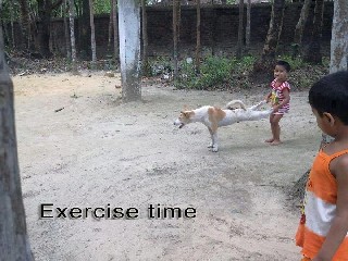 Exercise Time