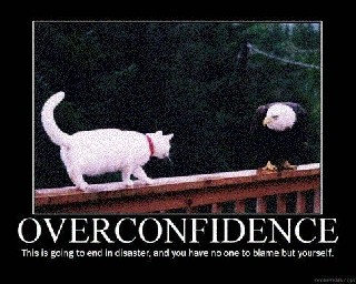 Over confidence eagle cat