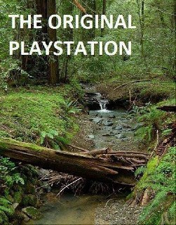 Original Playstation