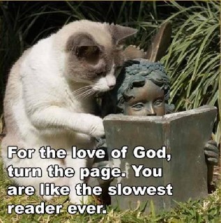 Slowest Reader