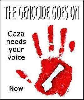Gaza Needs your Voice
