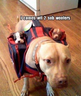 Two Sub Woofers