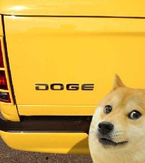 funniest pictures 2013 doge