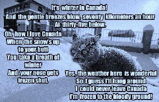 Winter In Canada