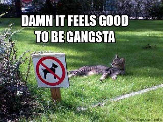 Sign Ganster Cat