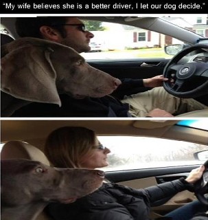 Better Driving