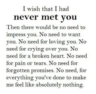 I Wish I Had Never Met You