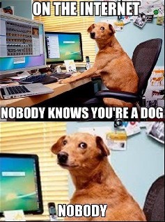 Dog Internet