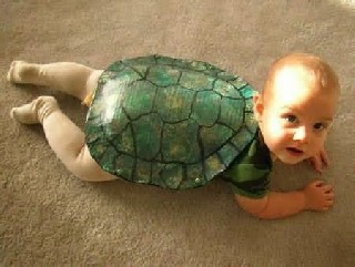 A funniest tortise slow baby  share this