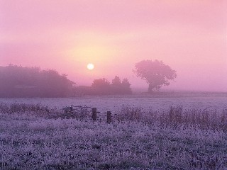 sunrise over frosty farmland norfolk england 5156912403