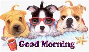 best morning wishes for pet lovers