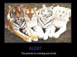 Printer Ink