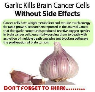 garlic kills brain cancer