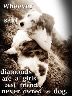 Diamond Dog