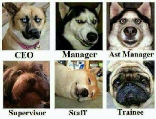 Beautiful expressions of funny It employees