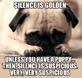 Puppy Silence
