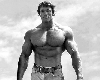 Arnold Body