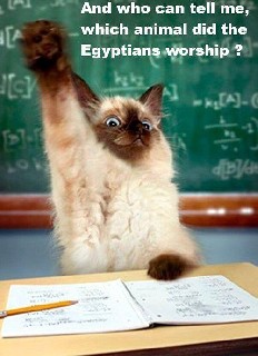 Cat Worship