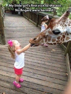 Funny Zoo Visit