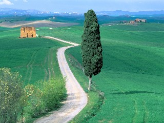country road tuscany italy