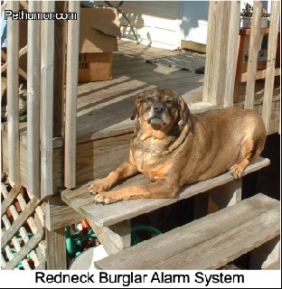 redneck burglar alarm