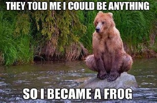 Frog Bear