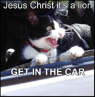 jesus a lion