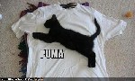 Puma New T Shirt