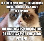Valentines Cat