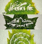 amazing leaf art
