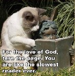 Slowest Reader