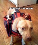 Two Sub Woofers