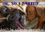 Farted Dog Drama