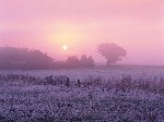sunrise over frosty farmland norfolk england 5156912403