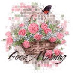 a beautiful rose bokey saying good morning
