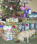 dog leaves his own christmas present