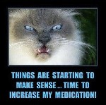 Increase Medication