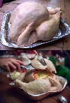Fake Turkey