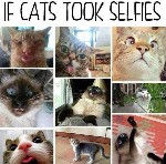 Cat Selfie