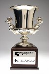 Hottie award
