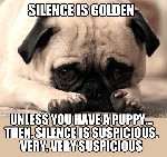 Puppy Silence