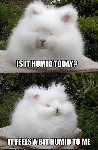 Humid Today