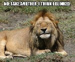 Blinked Lion