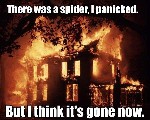 Spider Panic