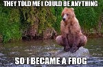 Frog Bear
