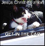 jesus a lion